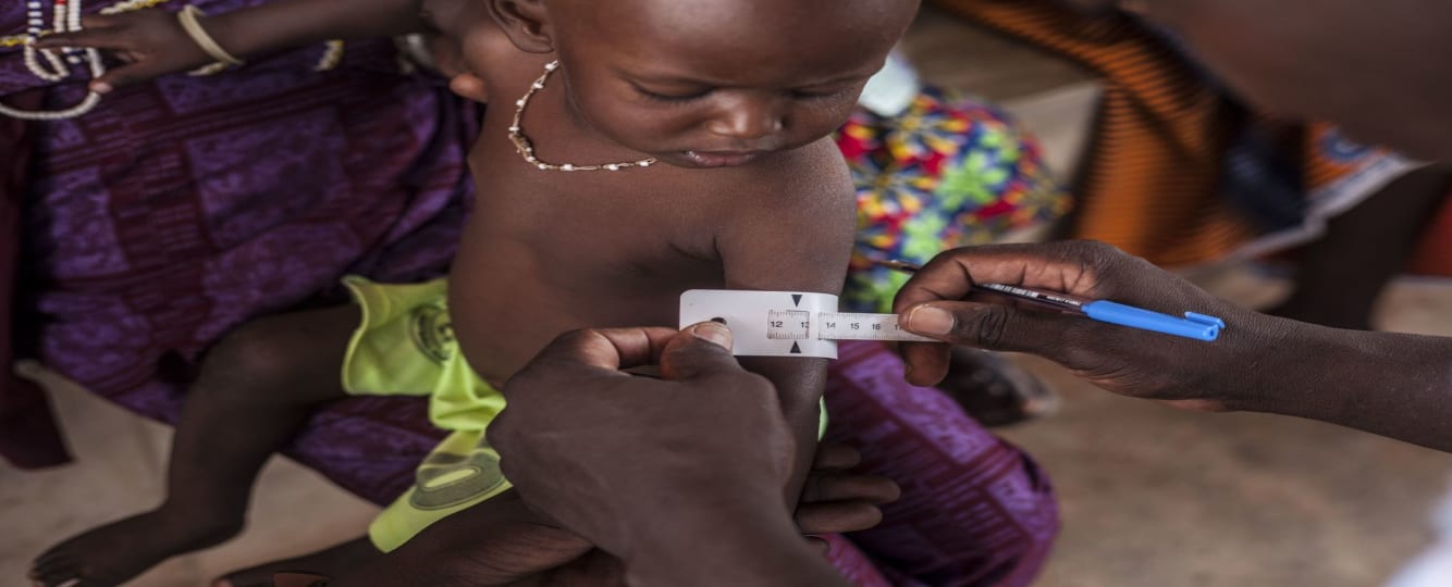 Burkina Faso malnutrition infantile 2017